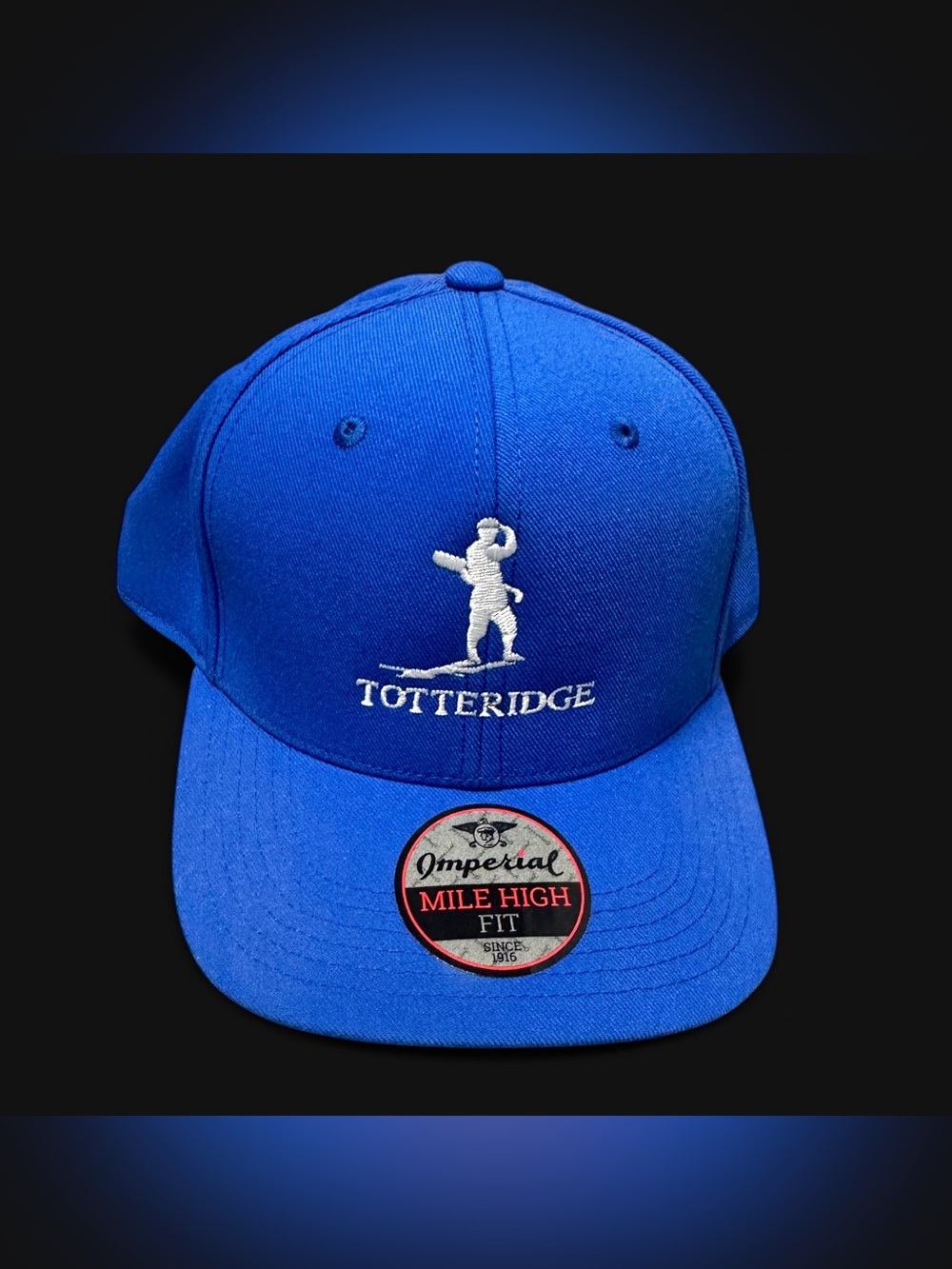 Totteridge Blue Embroidered Baseball Cap